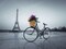 Bicycle with a basket of flowers next to the Eiffel tower, Paris, France Poster Print by Assaf Frank - Item # VARPDXAF201203161103C02
